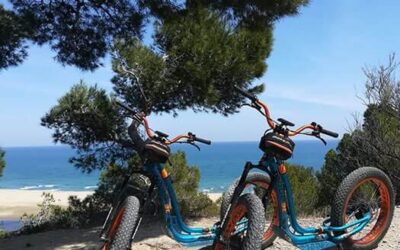 TROTTUP exporte le concept et arrive à Leucate !