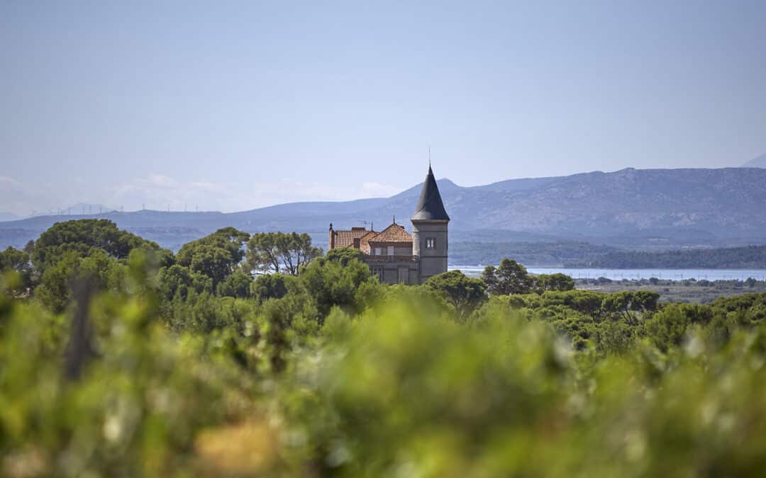 balade trottup chateau capitoul