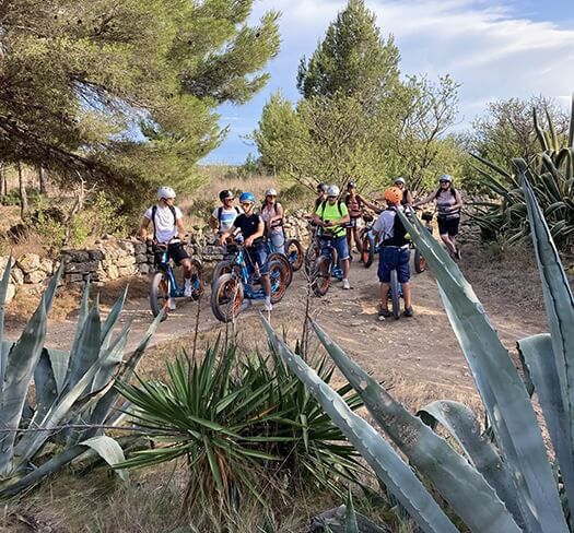 trottup-activite-label-famille-plus-leucate trottup activité label famille plus leucate
