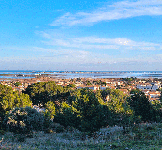 base-trottup-frontignan nouvelle base trottup frontignan