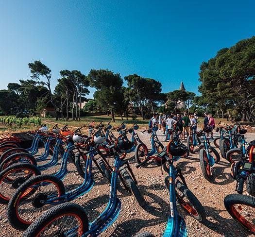 trottup organise des séminaires en occitanie