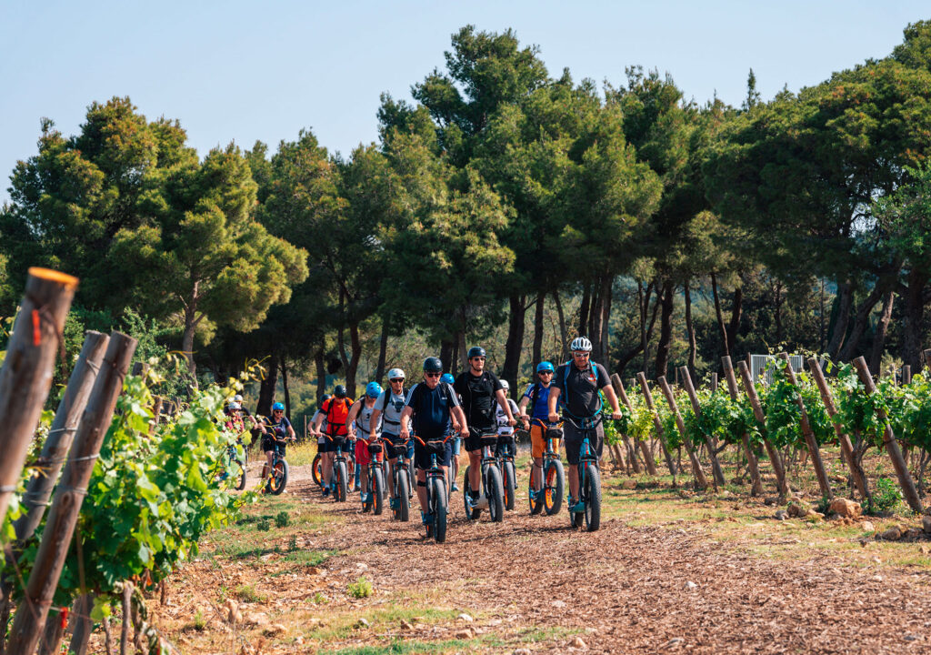 activité et balade nature en occitanie
