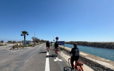 Location de vélos à Gruissan : partez pour une balade gourmande en circuit court