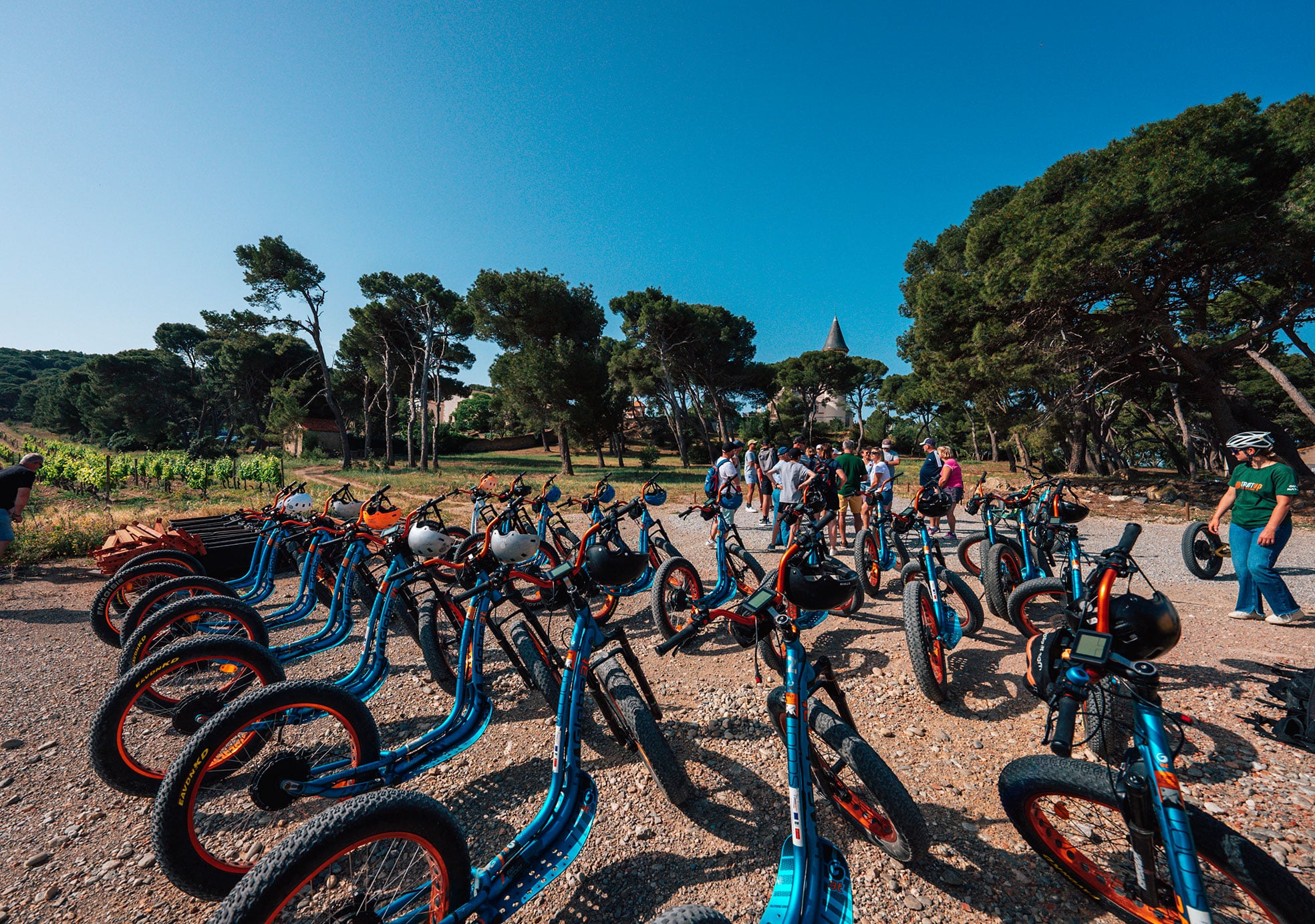 activité séminaire d'entreprise en occitanie