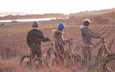 Trottup, une aventure écoresponsable au cœur de l’Occitanie