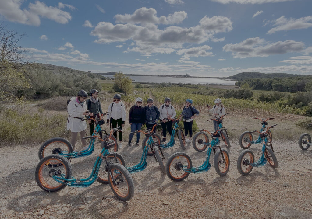 offrez un cadeau de noel nature original avec trottup