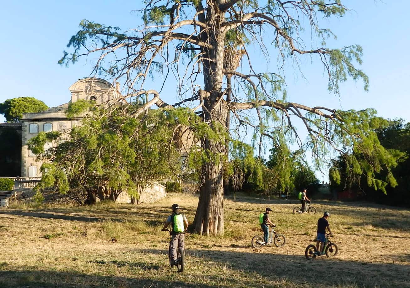 balade en trottinette électrique tout terrain au chateau de sérame avec trottup