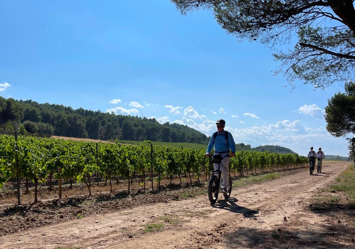 balade en trottinette électrique tout terrain dans les vignobles de Lézignan Corbières avec trottup